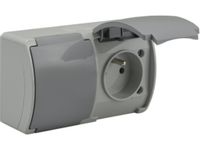 Koala gniazdo podwójne 2x2P+Z natynkowe popiel z klapką 162-08