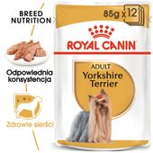 royal canin yorkshire terrier adult 12x85g
