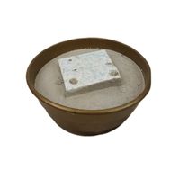 Doniczka zalana  '19