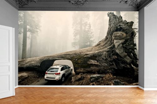 Fototapeta PIEŃ DRZEWA LAS MOST AUTO 130x80 na Arena.pl