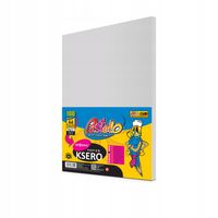 papier ksero a4 160g 100k it272 szary 3870