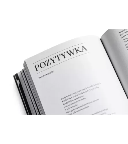 Notatnik Literacki. Nr 2-3 (7-8)/2025 na Arena.pl