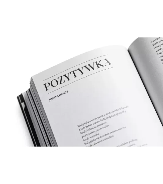 Notatnik Literacki. Nr 2-3 (7-8)/2025 zdjęcie 13