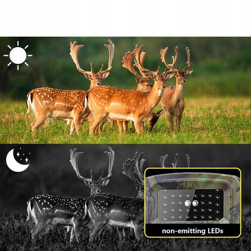 Kamera Leśna Fotopułapka Myśliwska Ip66 Czujnik Ruchu IR Tryb Nocny na Arena.pl