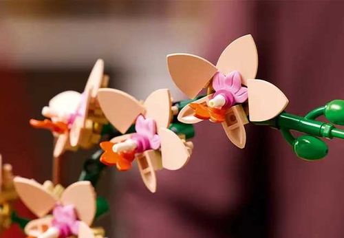 10343 - lego the botanical collection - mała orchidea na Arena.pl