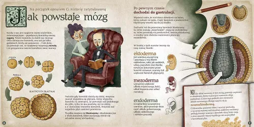Mózg jakiego nie znacie na Arena.pl