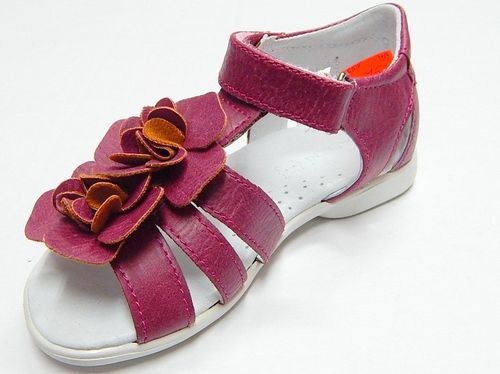 Kornecki 4124 Wrzos na Arena.pl