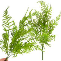 Bukiet Zielonych Gałązek Aszparagus Liście Zieleń  X5