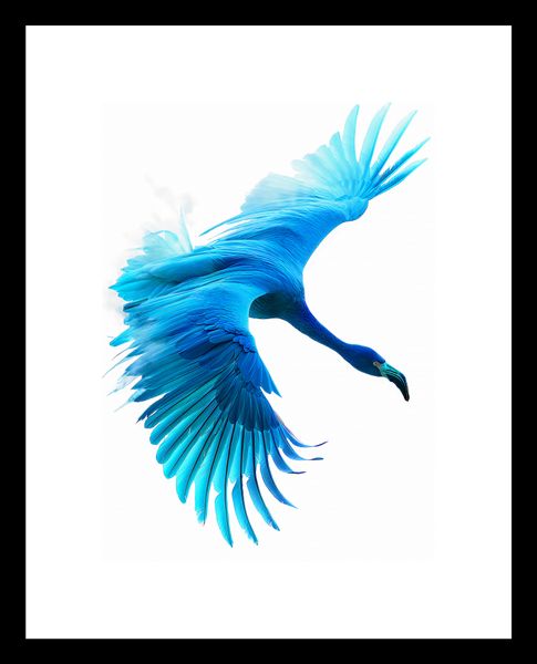 Plakat 13x18cm Błękitny Lot zdjęcie 3