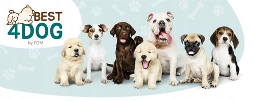 Legowisko dla psa mata 70x100 wodoodporne miękkie na Arena.pl