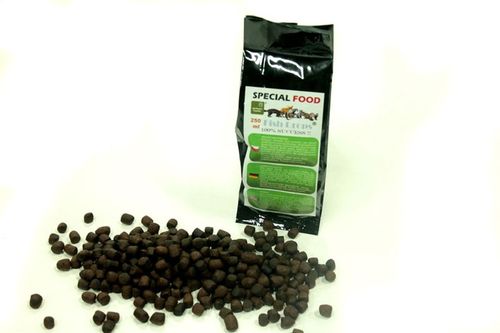 żywołapka pułapka na kuny, koty, lisy super szybka na Arena.pl