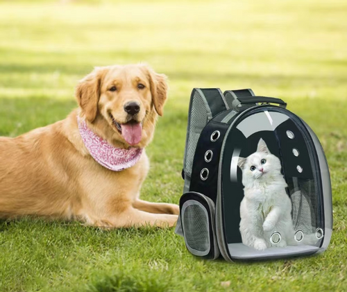 Plecak transporter dla kota i psa na Arena.pl