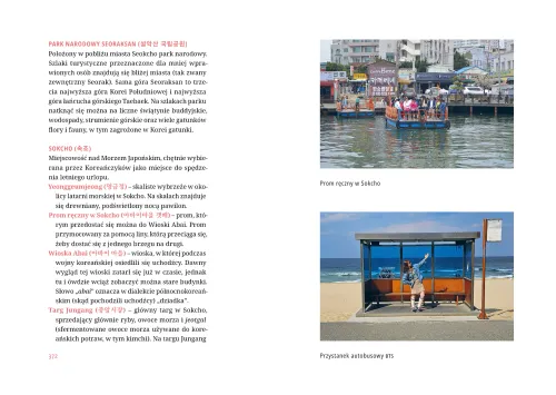 Polka w Korei. Jak się żyje w kraju K-popu, kimchi i Samsunga na Arena.pl