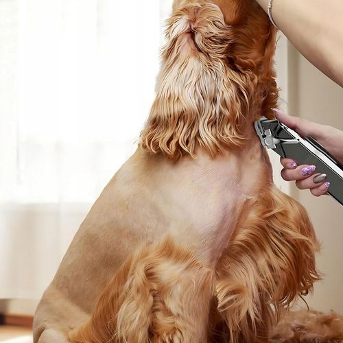 MASZYNKA DO STRZYŻENIA PSÓW PSA CICHA PROFESJONALNA BEZPRZEWODOWA MOCNA na Arena.pl