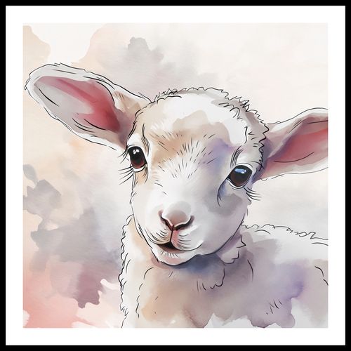Plakat 80x80cm Mała Owieczka na Arena.pl
