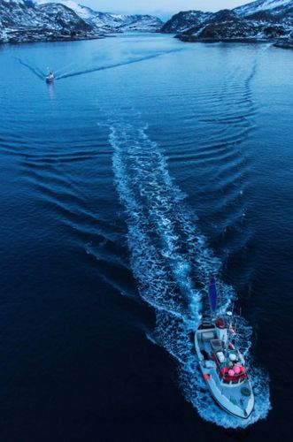 OMEGA-3 Kids o smaku POMARAŃCZOWYM Norsan 150 ml na Arena.pl