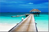 120CM 80CM OBRAZ ŚCIENNY DOMEK TROPIKACH