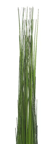 Trawa Long Banch 107 cm na Arena.pl