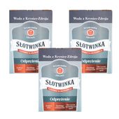 Woda Lecznicza Słotwinka Karton 3L x 3 sztuk