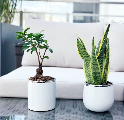 DONICZKA OSŁONKA CERAMICZNA BIAŁA DONICZKI OSŁONKI na Arena.pl