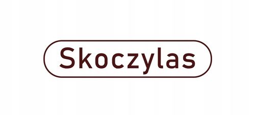 Skoczylas CHOLESTEROL Czerwony ryż Karczoch Chrom POZIOM CHOLESTEROLU 60kap na Arena.pl