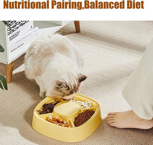 QIODAZOO żółta miska dla psa kota 4 przegrody na Arena.pl