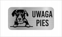 GRAWER Tabliczka nierdzewna laminat 20x10 UWAGA PIES mountain dog mix