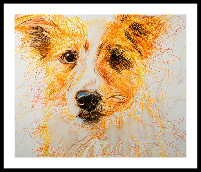 Plakat 60x50cm Uroczy Gość zdjęcie 3