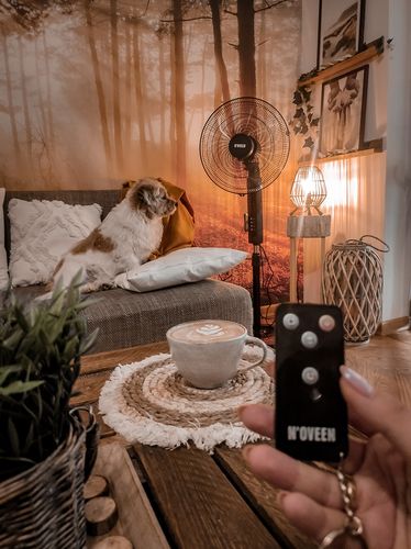 Noveen  Wentylator F455 na Arena.pl