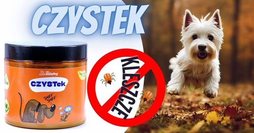 Suplement Do michy Czystek 100% dla psa sproszkowany pasożyty sierść 300g na Arena.pl