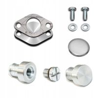 Zestaw do usunięcia chłodnicy EGR BMW M47N2 M57N2