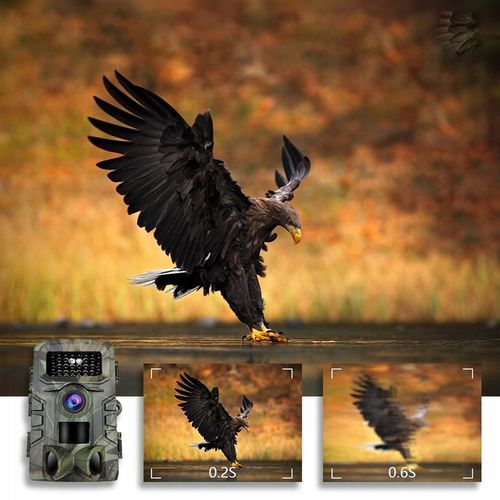 Kamera Leśna Fotopułapka Myśliwska Ip66 Czujnik Ruchu IR Tryb Nocny na Arena.pl