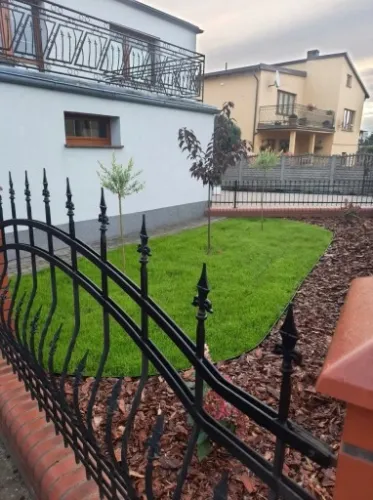 NASIONA TRAWY 5KG TRAWA SAMO ZAGĘSZCZAJĄCA ODPORNA UNIWERSALNA GREENATO na Arena.pl