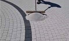 Zasypka do kostki piasek kwarcowy suchyPREMIUM25kg na Arena.pl