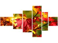 product-compare-58691623