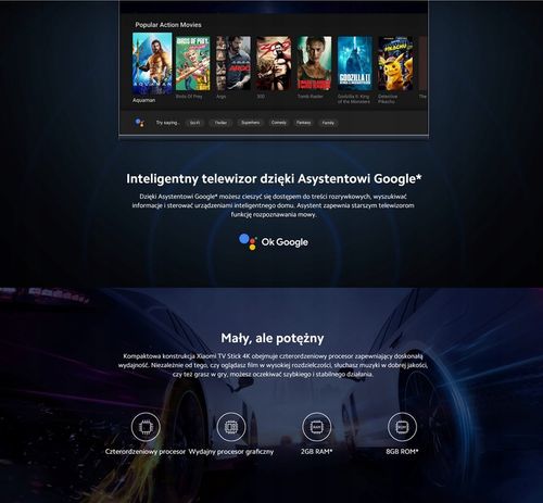 Xiaomi SMART TV STICK 4K 8 GB FOLIA na Arena.pl