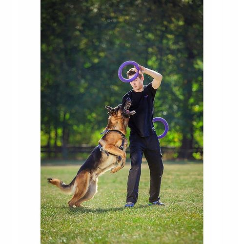 Szarpak dla psa PULLER Standard 28 cm - Zabawka 2 ringi dla dużych ras psów na Arena.pl