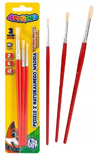 Wyprawka Szkolna Astra XXL 20 elementów Duży zestaw do szkoły Farby 12 kol. na Arena.pl