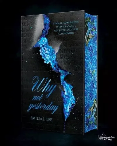 Why Not Yesterday (barwione brzegi) na Arena.pl