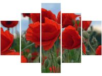 70 100CM OBRAZ 5 ELEM MAKI DUNCAN DRUK PŁÓTNO