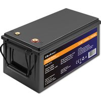 Qoltec Akumulator LiFePO4 200Ah 12.8V 2560Wh BMS