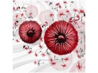 50CM 50CM OBRAZ CZERWONE DMUCHAWCE 5 DRUK PŁÓTNO