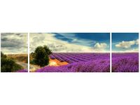 product-compare-58702914