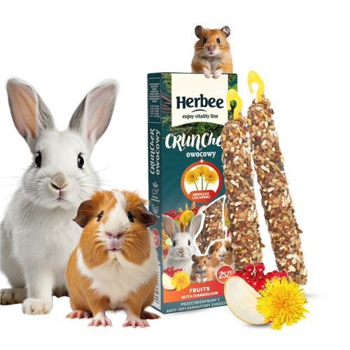 HERBEE Przysmak dla gryzoni i królików 115g owocowy z mniszkiem lekarskim na Arena.pl