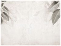 FOTOTAPETA LIŚCIE BETON SZARA NA FLIZELINIE SYPIALNIA SALON TAPETA 350x250