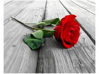 40X50CM RÓŻA DESKACH OBRAZ