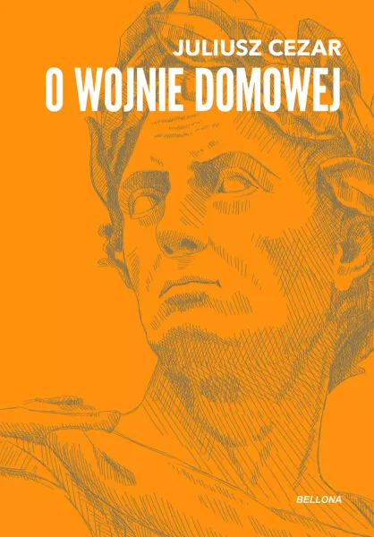 O wojnie domowej zdjęcie 1