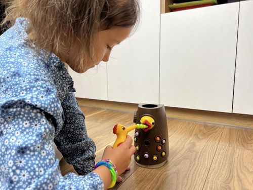 DZIĘCIOŁ ŁAPIE OWADY NR:8304 na Arena.pl