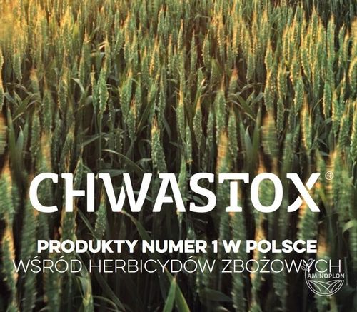 Chwastox Trio Nowy 5L wczesne chwasty dwuliścienne na Arena.pl