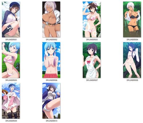 Dakimakura Plunderer DO WYBORU 60x30 na Arena.pl